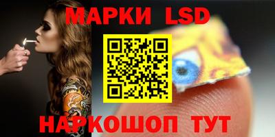 шишки Заволжье