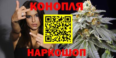 шишки Заволжье