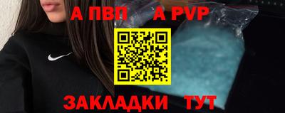 шишки Заволжье