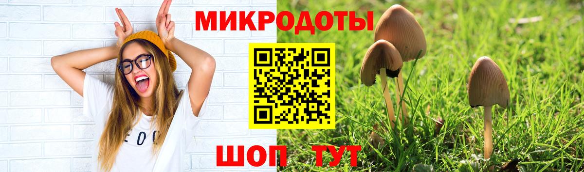 Полысаево  Псилоцибиновые грибы Magic Shrooms  Вход с VPN 